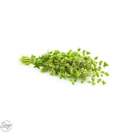 ORIGAN DI PANTELLERIA BOUQUET 20G