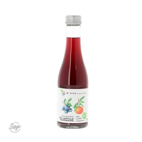 JUS RAISIN MYRTILLE MANDARINE BIO 210 ML