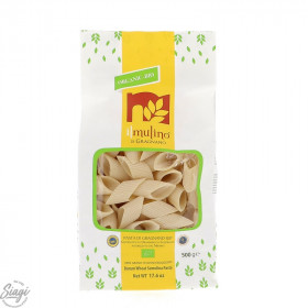 PENNONCINI RIGATI BIO 500 G IGP