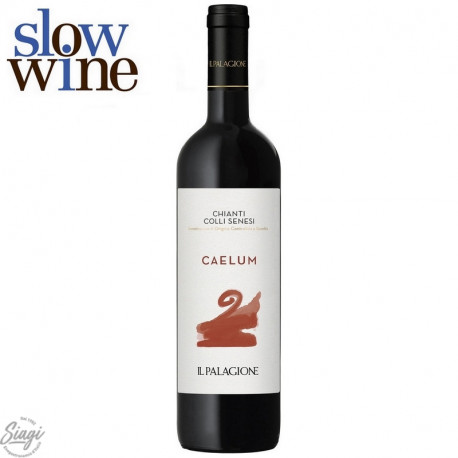 CHIANTI COLLI SENESI BIO PALAGIONE 75CL