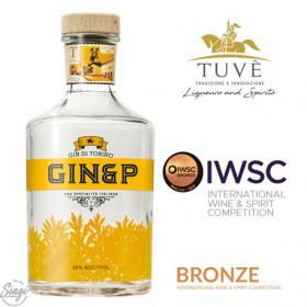 GIN DI TORINO GIN&P 70 CL 42°