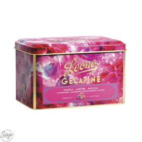 PATE FRUITS ROUGES BTE METAL 200G LEONE