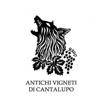 CANTALUPO