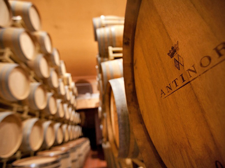 ANTINORI