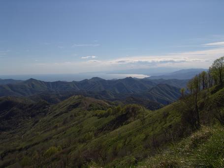 PASTA DI LIGURIA