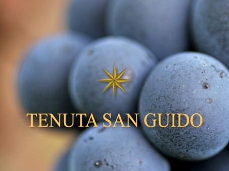 TENUTA SAN GUIDO