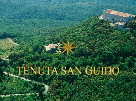 TENUTA SAN GUIDO