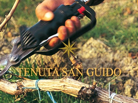 TENUTA SAN GUIDO